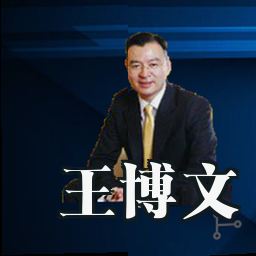王博文